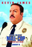 AVM Polisi Film Afişi