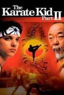 Karateci Çocuk Film Afişi