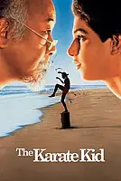 Karate Kid Serisi Poster