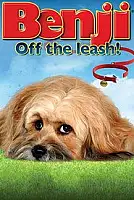 Benji: Tasmasını Çıkar! Serisi Poster