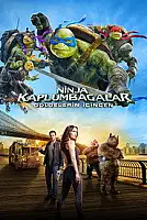 Ninja Kaplumbağalar: Gölgelerin İçinden Serisi Poster