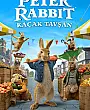 Tavşan Peter: Kaçak Tavşan Film Posteri