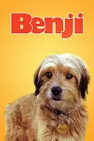 Benji Serisi Poster