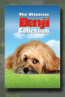 Benji Serisi Poster