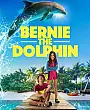Yunus Bernie Film Posteri