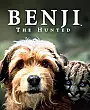 Av Köpeği Benji Film Posteri