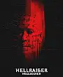 Hellraiser: Hellseeker Film Posteri