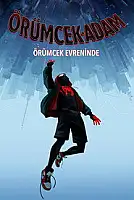 Örümcek Adam: Örümcek Evreninde Serisi Poster