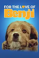 Benji 2: Casus Avı Serisi Poster