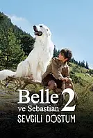 Sebastian Sevgili Dostum Serisi Poster