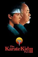 Karate Kid 2 Serisi Poster