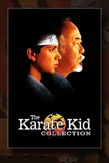 Karate Kid Serisi Poster