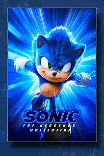Kirpi Sonic Serisi Poster