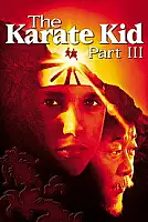 Karate Kid 3 Serisi Poster