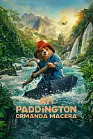 Ayı Paddington: Ormanda Macera Serisi Poster