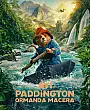 Ayı Paddington: Ormanda Macera Film Posteri