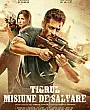 Tiger Yaşıyor Film Posteri