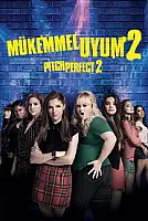 Mükemmel Uyum 2 Serisi Poster