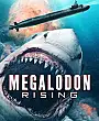 Megalodon'un Yükselişi Film Posteri