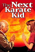 Karate Kid 4 Serisi Poster