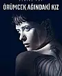Örümcek Ağındaki Kız Film Posteri