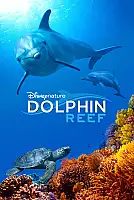 Dolphin Reef Film Posteri