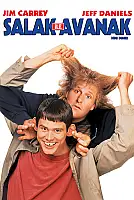 Salak ile Avanak Film Posteri