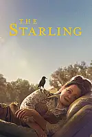 The Starling Film Posteri