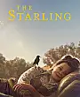 The Starling Film Posteri