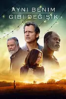 Aynı Benim Gibi Değişik Film Posteri
