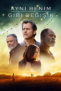 Aynı Benim Gibi Değişik Film Posteri