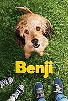 Benji Film Posteri