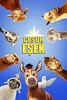 Cesur Eşek Film Posteri