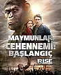 Maymunlar Cehennemi: Başlangıç Film Posteri