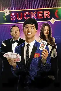 Enayi Film Posteri