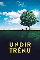Ağacın Altında Film Posteri
