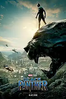 Kara Panter Film Posteri