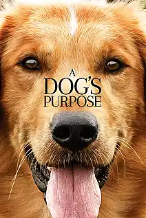 Can Dostum Film Posteri