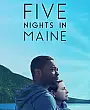 Five Nights in Maine Film Posteri