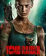 Mezar Yağmacısı Film Posteri