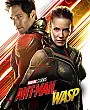 Ant-Man ve Wasp Film Posteri