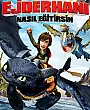 Ejderhanı Nasıl Eğitirsin Film Posteri