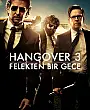 Hangover 3: Felekten Bir Gece Film Posteri