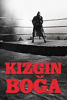 Kızgın Boğa Film Posteri
