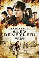 Labirent: Alev Deneyleri Film Posteri