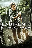 Labirent: Ölümcül Kaçış Film Posteri