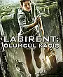 Labirent: Ölümcül Kaçış Film Posteri