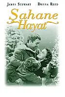 Şahane Hayat Film Posteri