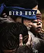 Bird Box Film Posteri