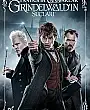 Fantastik Canavarlar: Grindelwald'ın Suçları Film Posteri